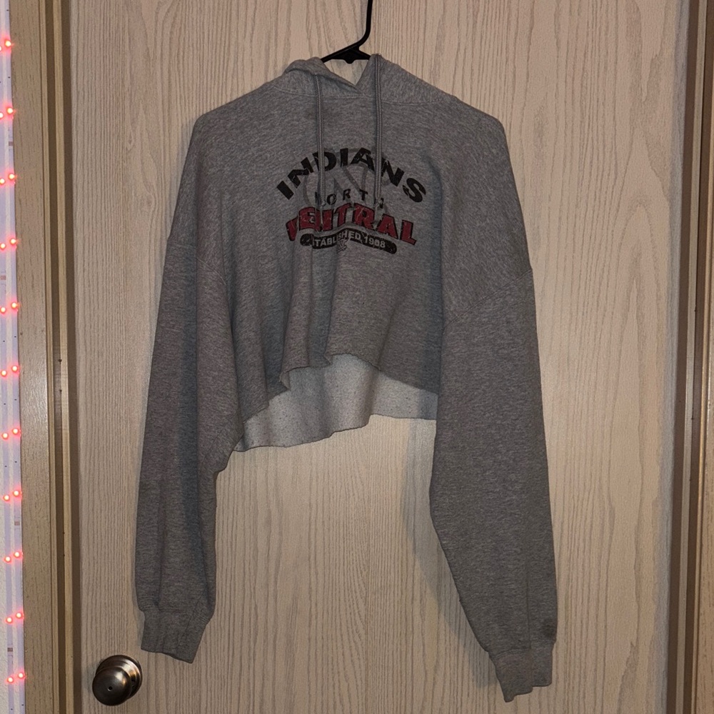Gray Cropped Hoodie
